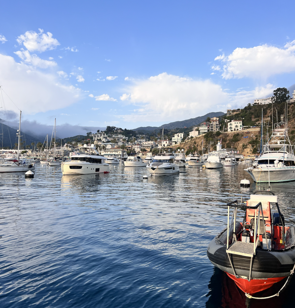 Avalon catalina island